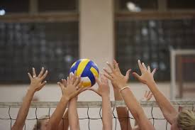 Volley ball images libres de droit, photos de Volley ball | Depositphotos